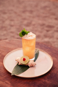 Raw Bar The Sanctuary Eco Retreat